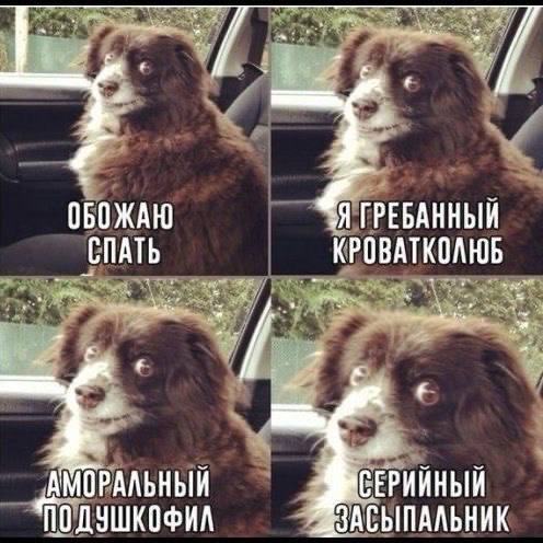 #мемныйчетверг
Так я себя чувствую на следующий день, когда вечером после укладывания дочерей иду обкашливать рабочие вопросики вместо сна 🤣
Отправляйте свой любимый мем в комментарии, «правила» можно... | Сетка — социальная сеть от hh.ru