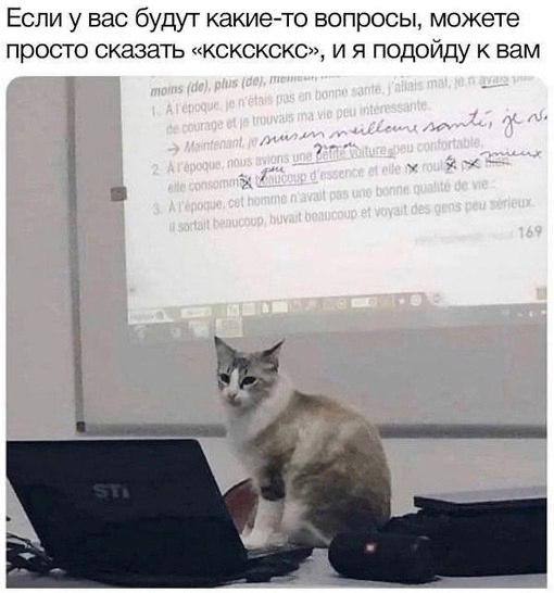 День 18
🔤 выбирала место для отпуска в Стамбуле
🔤 кушала сырники на завтрак
🔤 занималась английским
Очень интровертный день получился, даже непривычно | Сетка — социальная сеть от hh.ru