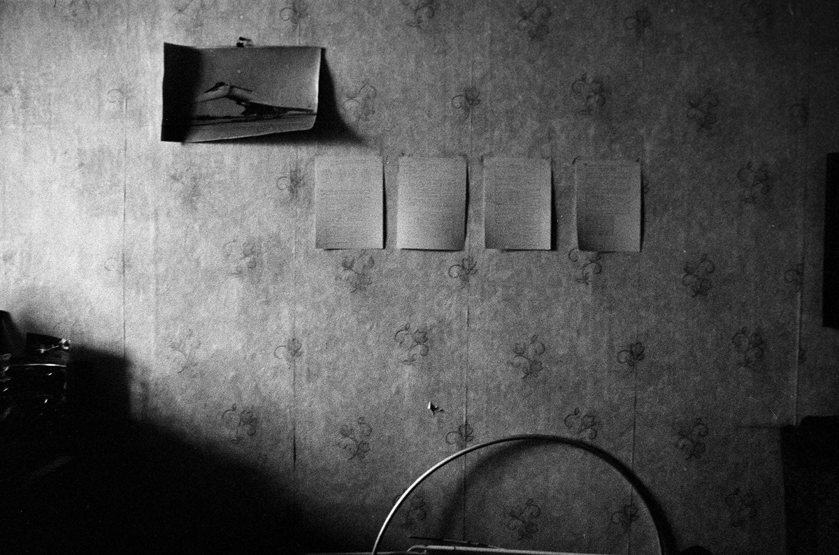 Canon 33 и Ilford HP5 Plus 400 | Сетка — социальная сеть от hh.ru