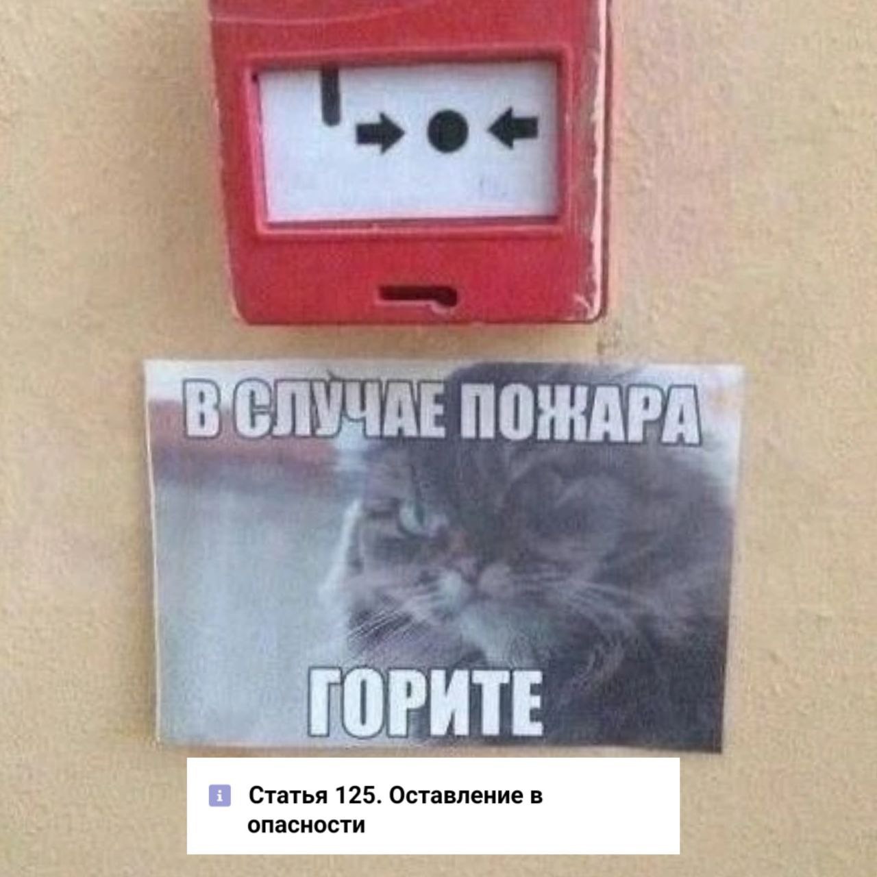Бегите Горите
[❤️
✴️ СУОТ 🔐 Услуги
В этом посте были ссылки, но мы их удалили по правилам Сетки](
Блог—Инженера</i></a><i> с утра и навсегда</i> <i><tg-emoji emoji-id=) | Сетка — социальная сеть от hh.ru