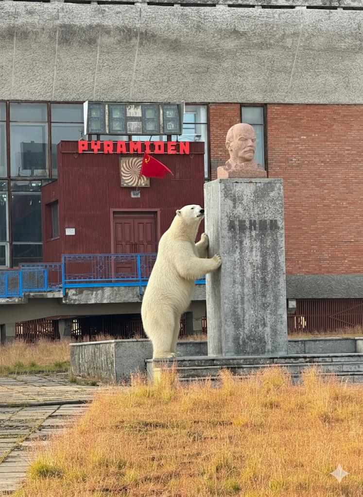 Так вышло, что на Шпицбергене я не застал ни одного медведя
Но не беда, ведь у меня есть нейросети! | Сетка — социальная сеть от hh.ru