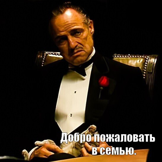 Очередной отказ на HH: не повод сдаваться, а повод стать | Сетка — социальная сеть от hh.ru