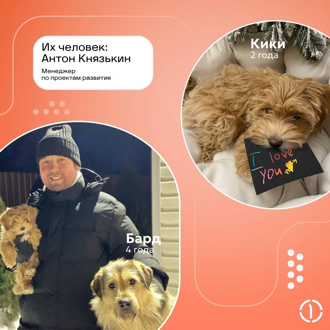😊 Самый ми-ми-ми пост! Кто тут генеральный пушистик?
Знакомьтесь с теми, кто не ходит на ежедневные планерки, но точно в курсе всего, что происходит в вашей жизни | Сетка — социальная сеть от hh.ru