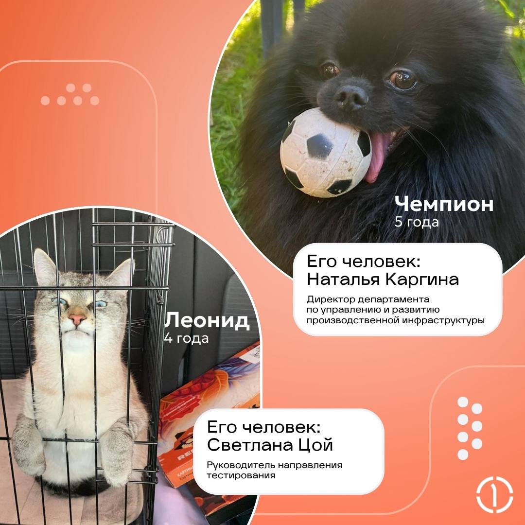 😊 Самый ми-ми-ми пост! Кто тут генеральный пушистик?
Знакомьтесь с теми, кто не ходит на ежедневные планерки, но точно в курсе всего, что происходит в вашей жизни | Сетка — социальная сеть от hh.ru