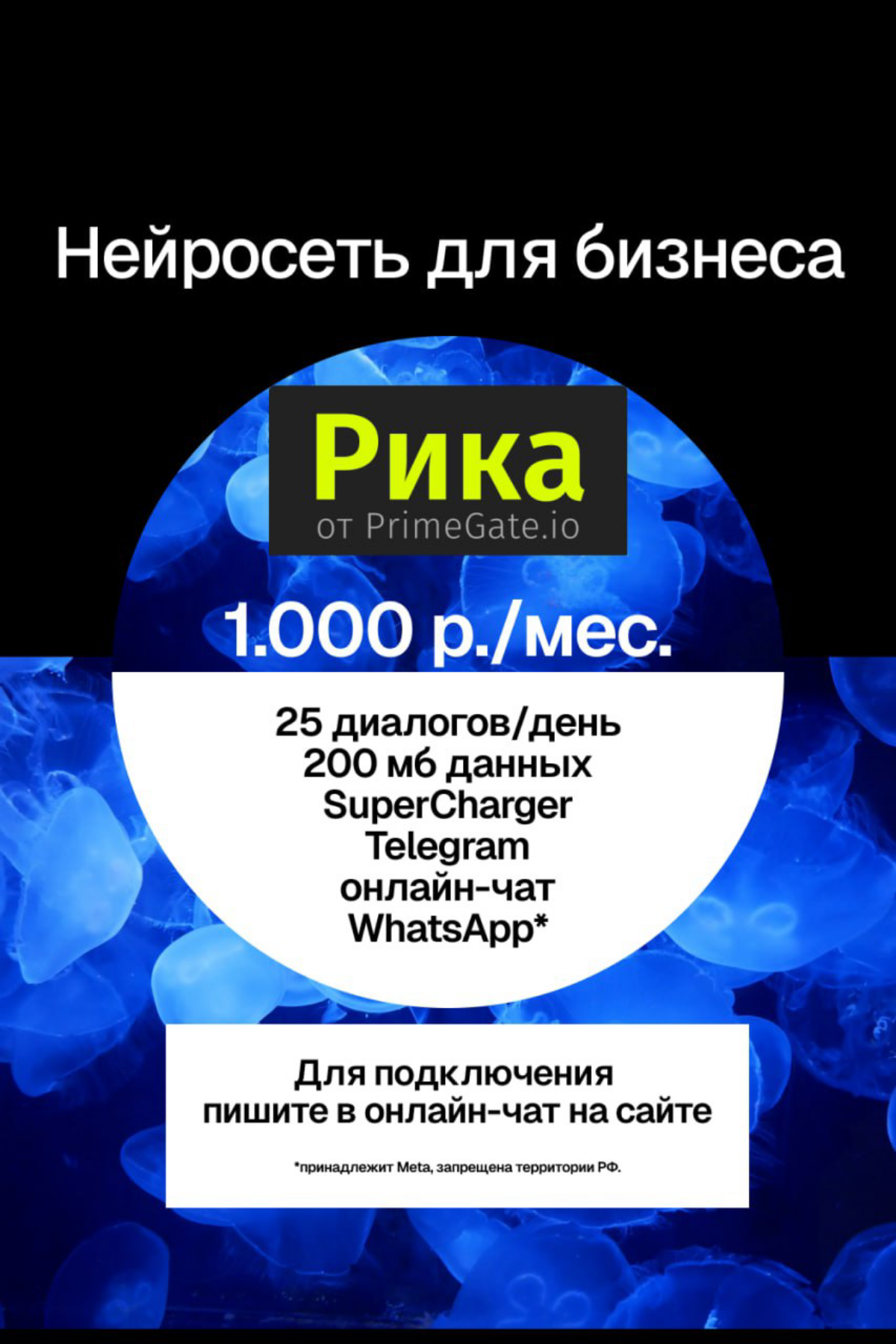 Акционный тариф на нейросеть! | Сетка — социальная сеть от hh.ru