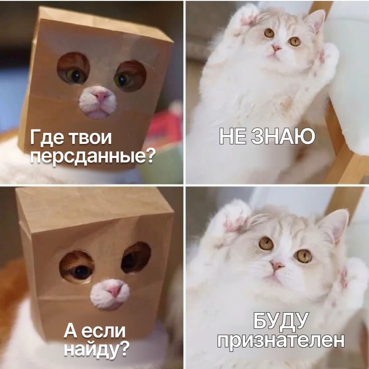 🛡Мы видим, как все больше внимания уделяется защите данных, особенно в КЭДО.
А вы уверены в своих сервисах, используемых в работе? Проверьте их и улучшите в вопросах безопасности | Сетка — социальная сеть от hh.ru