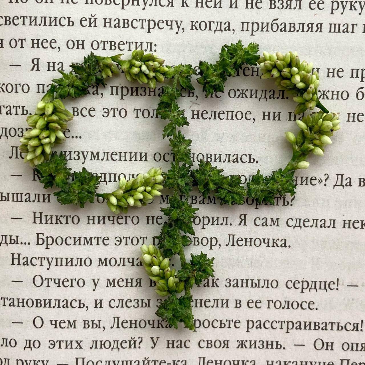 Ещё больше работ здесь
В этом посте были ссылки, но мы их удалили по правилам Сетки | Сетка — социальная сеть от hh.ru