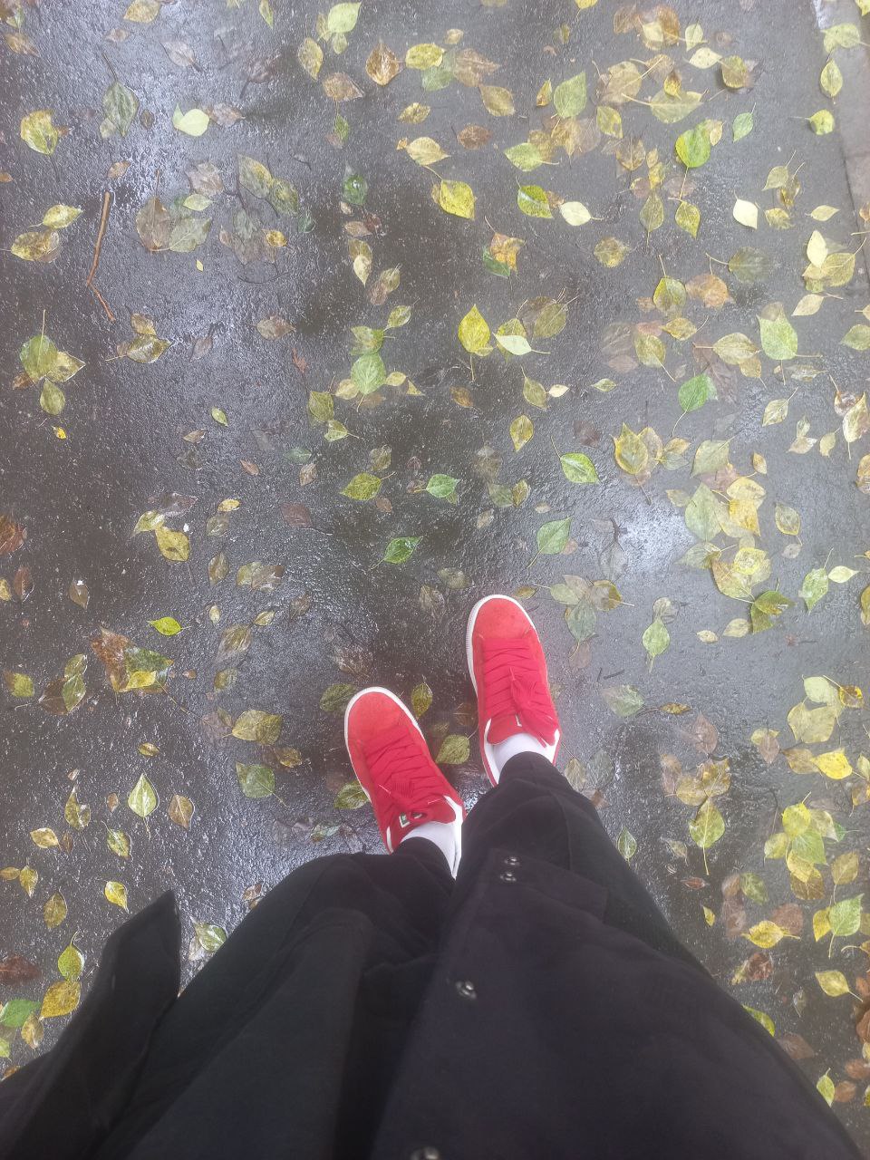 Warm/Cold🟠🔵 | Сетка — социальная сеть от hh.ru