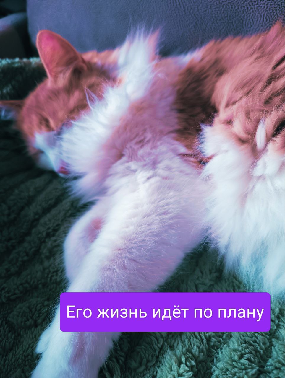 Вчера я была на семинаре про нарциссов, точнее мы все немного нарциссы и как это может проявляться в обычной жизни?
Один из вариантов искажение восприятия времени | Сетка — социальная сеть от hh.ru