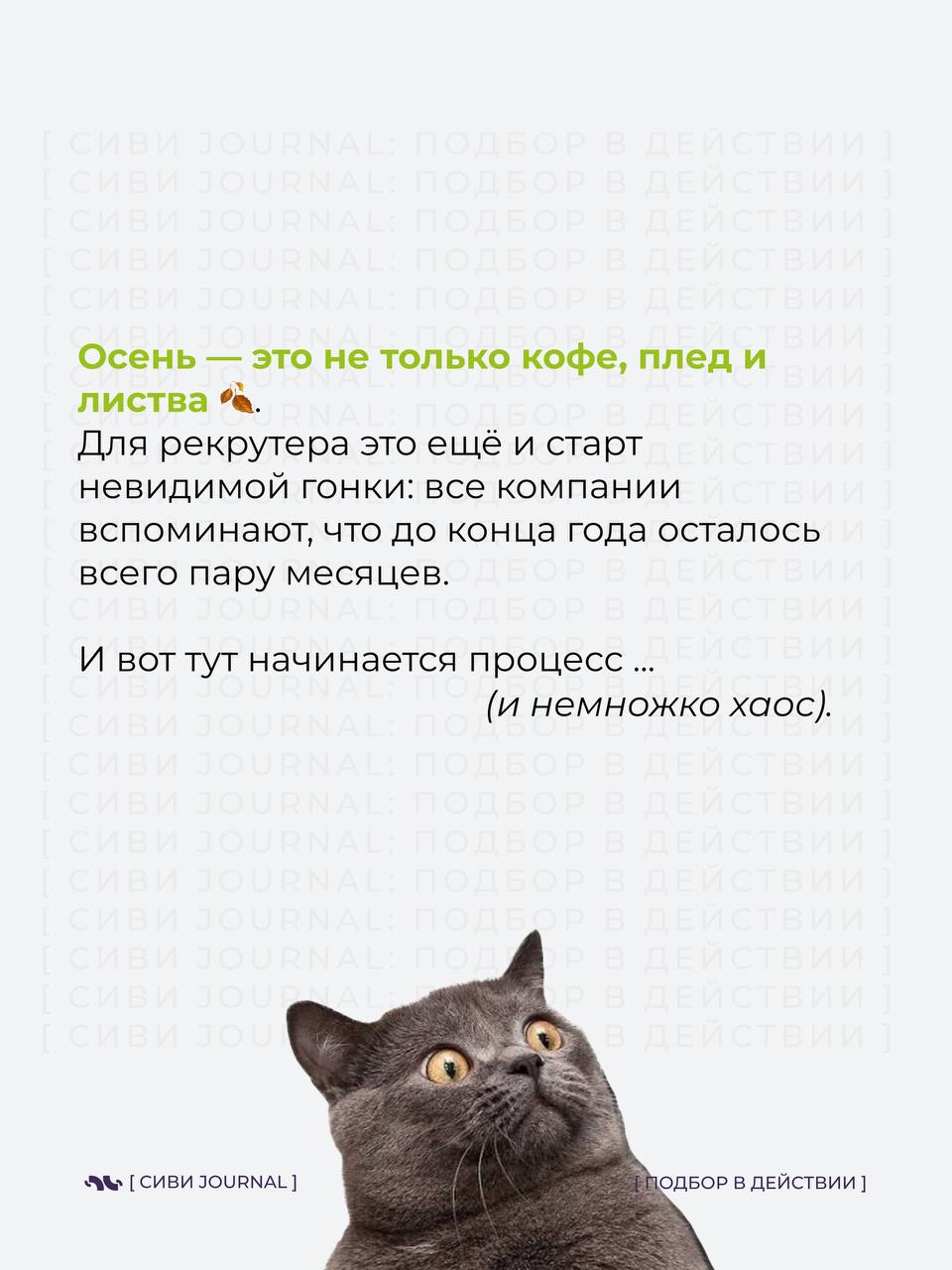 🤩Каждую осень в рекрутинге наступает особенный момент — «невидимый дедлайн до Нового года».
💤Вроде бы впереди ещё три месяца, но именно сейчас компании внезапно вспоминают про бюджеты, проекты и KPI | Сетка — социальная сеть от hh.ru