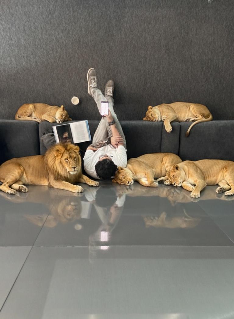 Когда AI бессилен: почему нейросети не могут “понять” перспективу?
Показываю своё фото — снятое вживую, без монтажа: я отдыхаю на диване, вокруг — спокойные львы, которые лежат буквально у моих ног | Сетка — социальная сеть от hh.ru