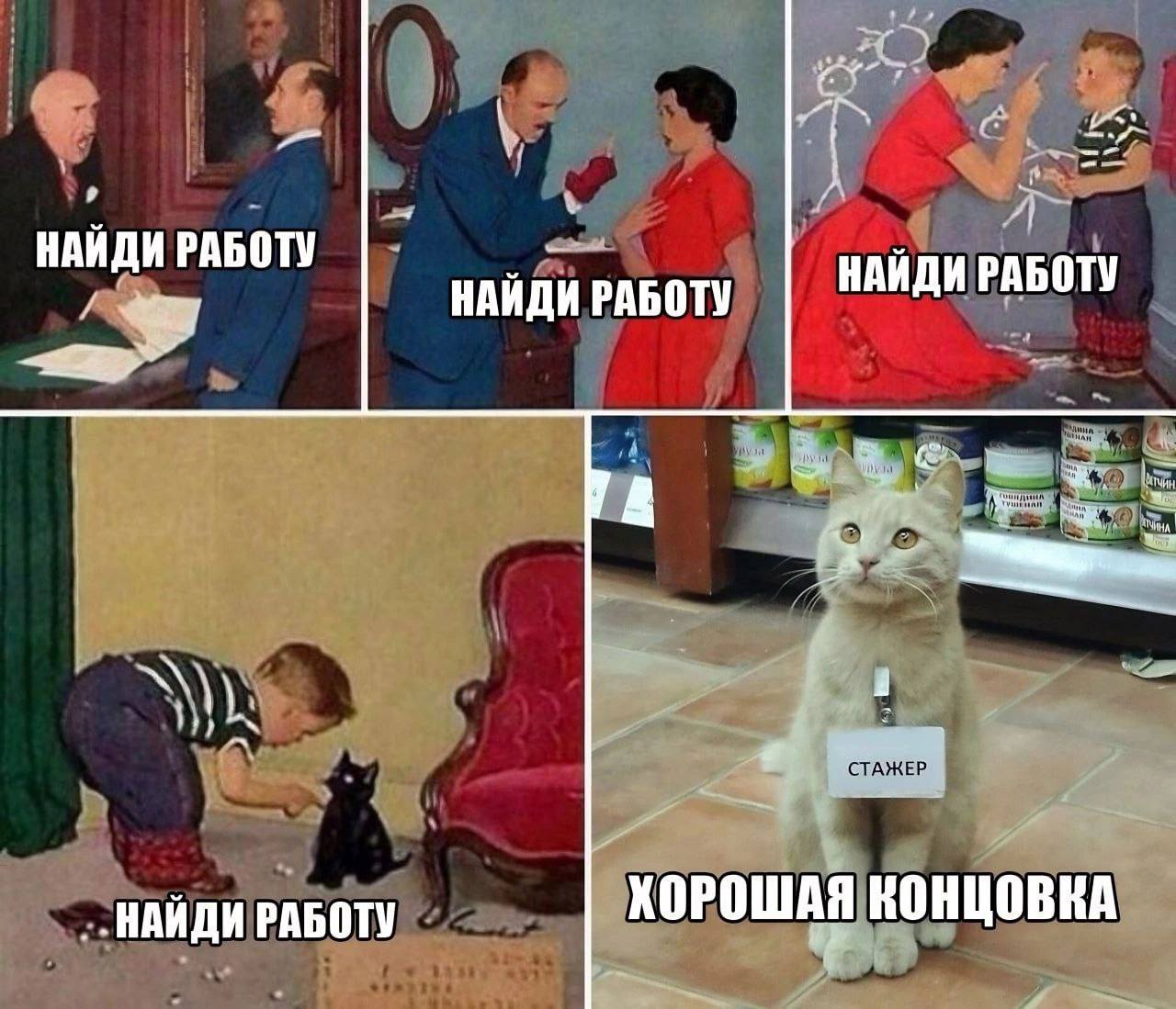 Я знаю, вы скучали 🫶🏻😁🫶🏻
Пятничные #мемчики
Буду рассказывать по-тихоньку новости, как идет работа в карьерной группе и какие изменения в рынке сейчас вижу
Поставьте уведомления на канал, чтобы не про... | Сетка — социальная сеть от hh.ru