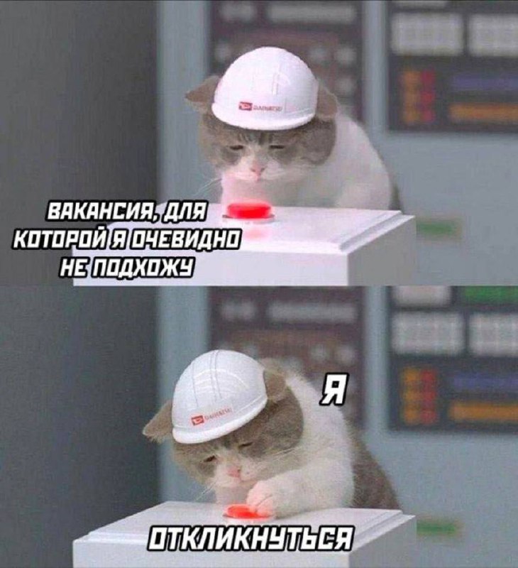 Я знаю, вы скучали 🫶🏻😁🫶🏻
Пятничные #мемчики
Буду рассказывать по-тихоньку новости, как идет работа в карьерной группе и какие изменения в рынке сейчас вижу
Поставьте уведомления на канал, чтобы не про... | Сетка — социальная сеть от hh.ru