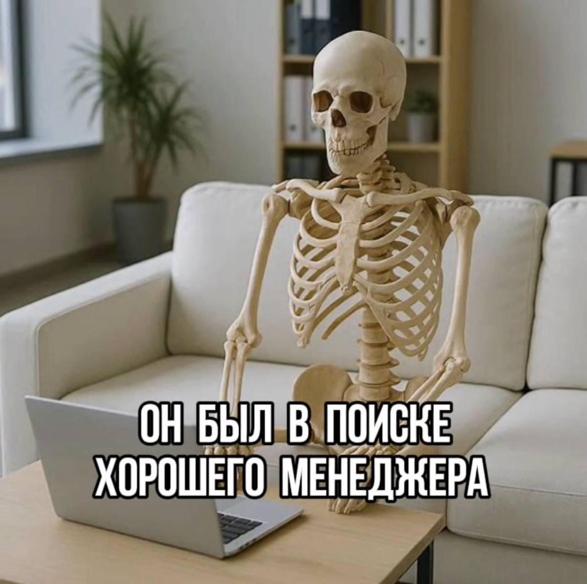 «Не могу найти хорошего менеджера» | Сетка — социальная сеть от hh.ru