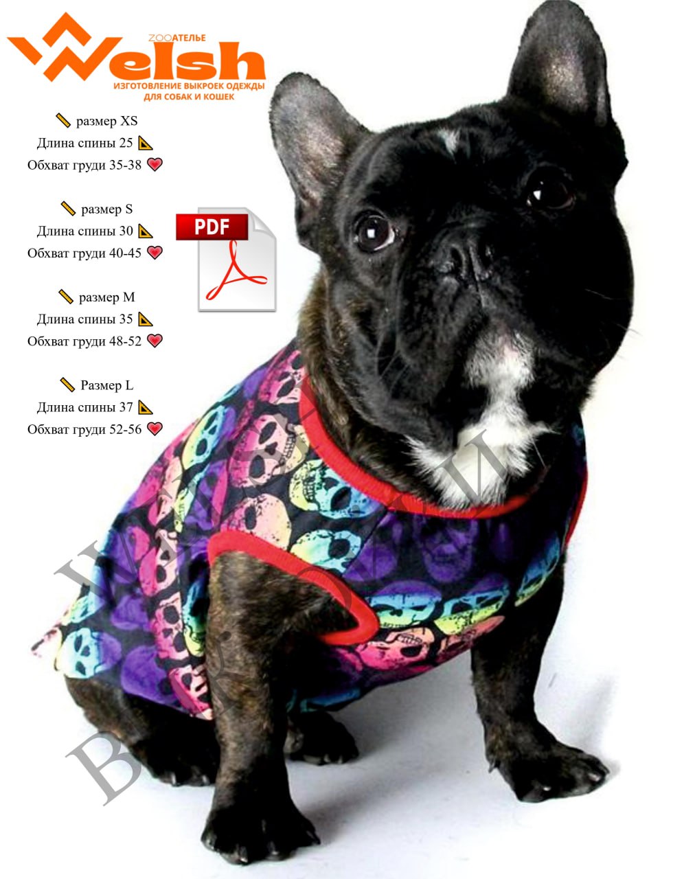 Тёплые летние денёчки ☀️ — это большой аргумент, чтобы поваляться в травке 🌿 или полазить по соседним кустам 🌳, но есть опасность поцарапать животик 🐾 | Сетка — социальная сеть от hh.ru