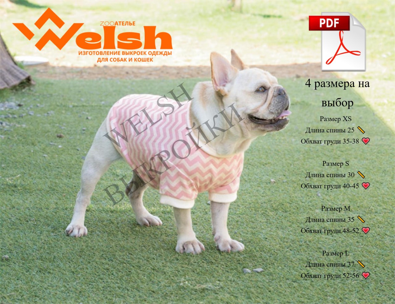 Летняя футболка для бульдога 🐶☀️
размер XS
Длина спины 25 📏
Обхват груди 35-38 💗
(прибавка на свободу 6 см)
размер S
Длина спины 30 📏
Обхват груди 40-45 💗
(прибавка на свободу 6 см)
размер M
Длина спи... | Сетка — социальная сеть от hh.ru