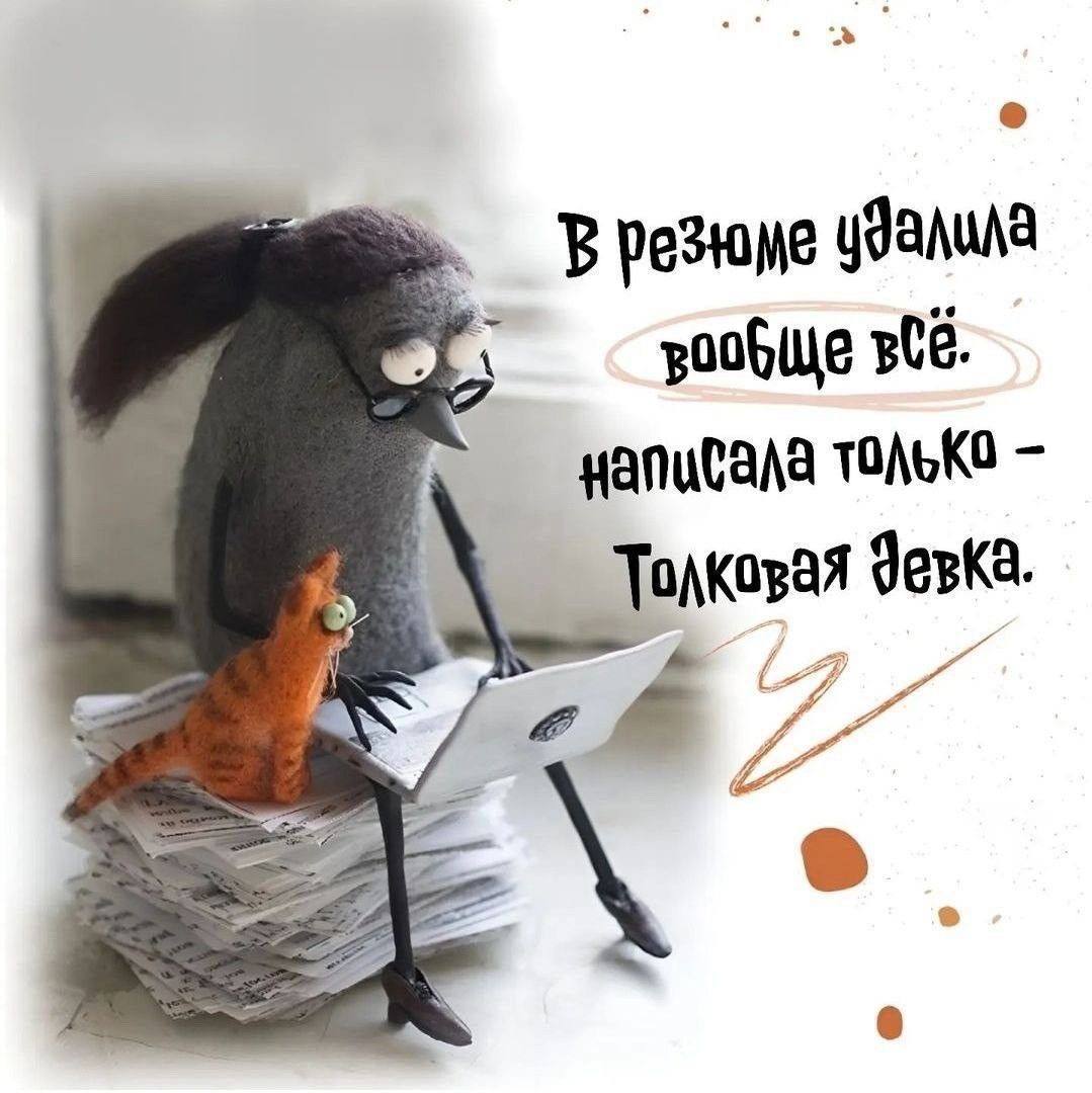 Мемная пятница в эфире 🤡
Жду вас в комментах 😉 | Сетка — социальная сеть от hh.ru
