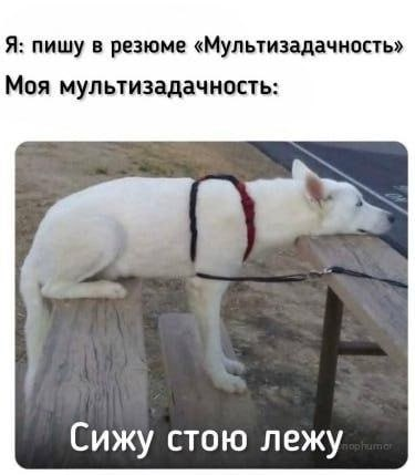 Ахах) | Сетка — социальная сеть от hh.ru