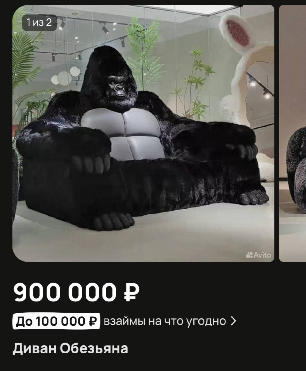 Новая рубрика
СТРАННОСТИ АВИТО | Сетка — социальная сеть от hh.ru