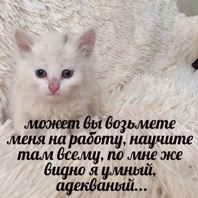 Ольга Кривогорницына