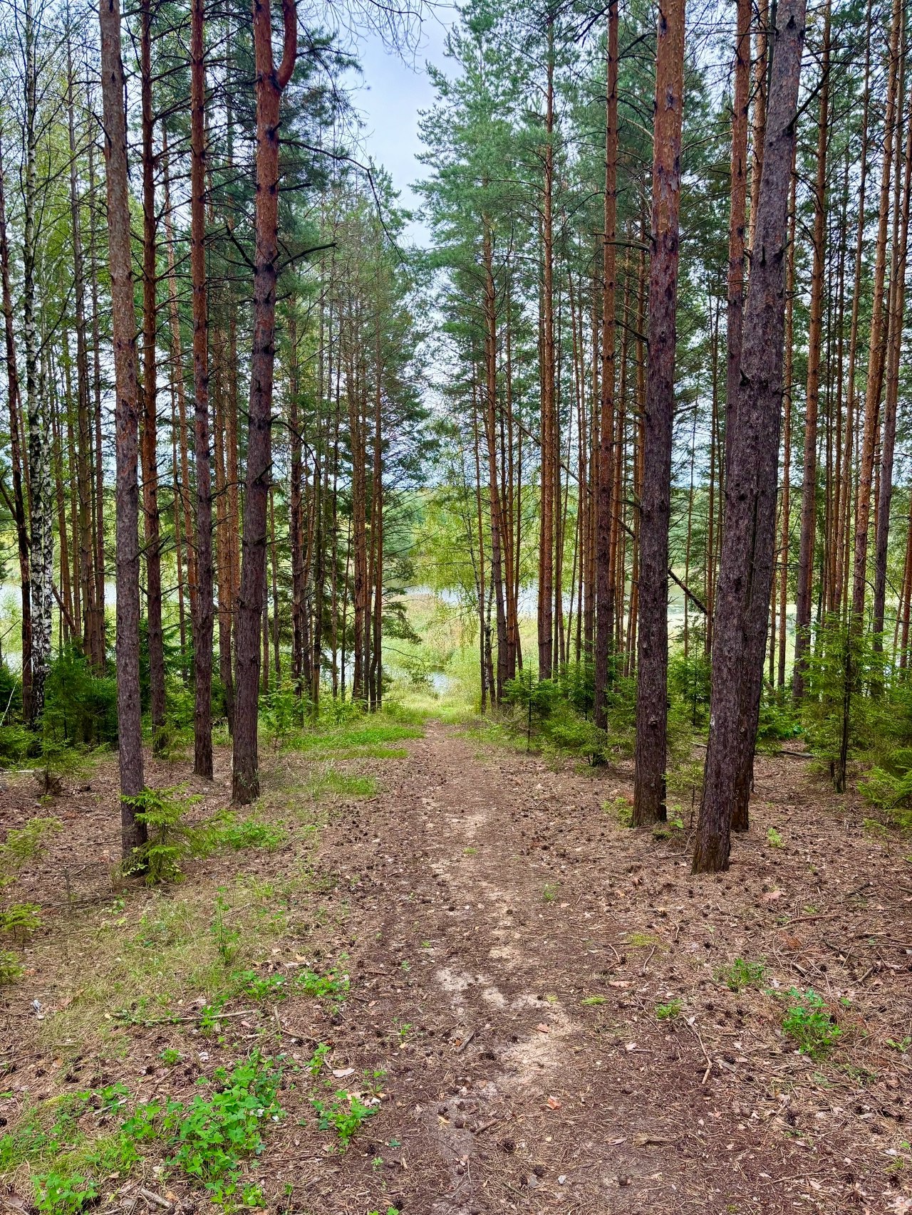 Всем добрый день! Продолжаем знакомиться со спиннингом.
В этот раз решил съездить на большую воду, дабы река Ока в 15 минутах от дома | Сетка — социальная сеть от hh.ru