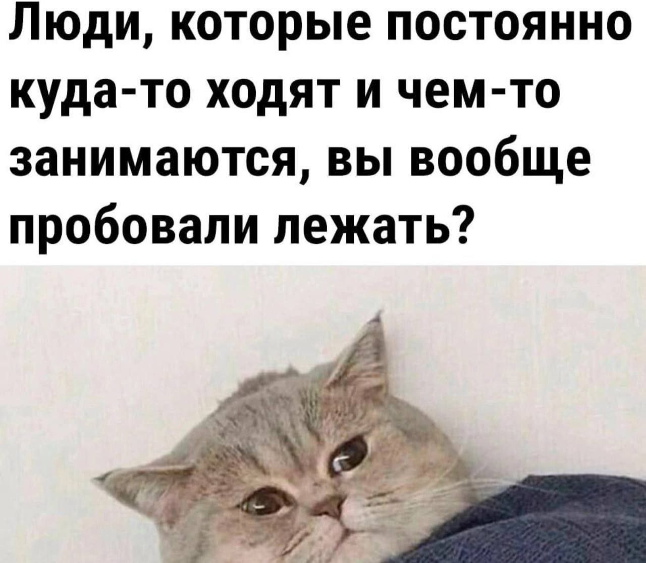 Если ещё нет, то стоит попробовать 😂
#Юмор@poldner #Коты@poldner | Сетка — социальная сеть от hh.ru