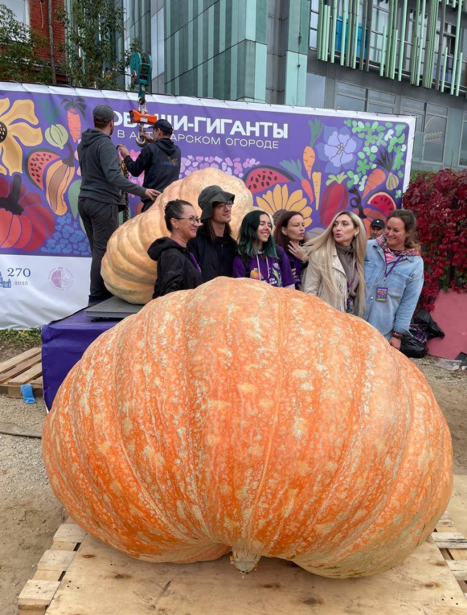 🎃Фермер из Подмосковья установил новый российский рекорд, вырастив тыкву весом 969 кг
Рекордные овощи показали в «Аптекарском огороде» вместе с другими гигантами
📲Подпишитесь на Вдвижении
#выставки
В ... | Сетка — социальная сеть от hh.ru