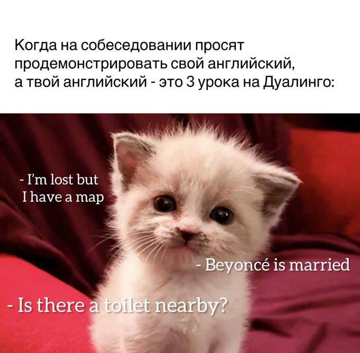 #interview #english | Сетка — социальная сеть от hh.ru