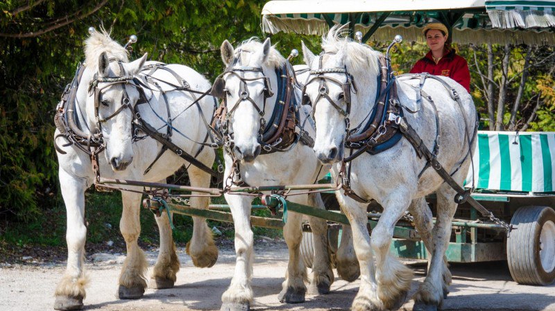Summer Celebrations Have Begun At This Indelible Inn On Michigan’s Mackinac Island
https://procreator.top/2025/09/20/summer-celebrations-have-begun-at-this-indelible-inn-on-michigans-mackinac-island/ | Сетка — социальная сеть от hh.ru
