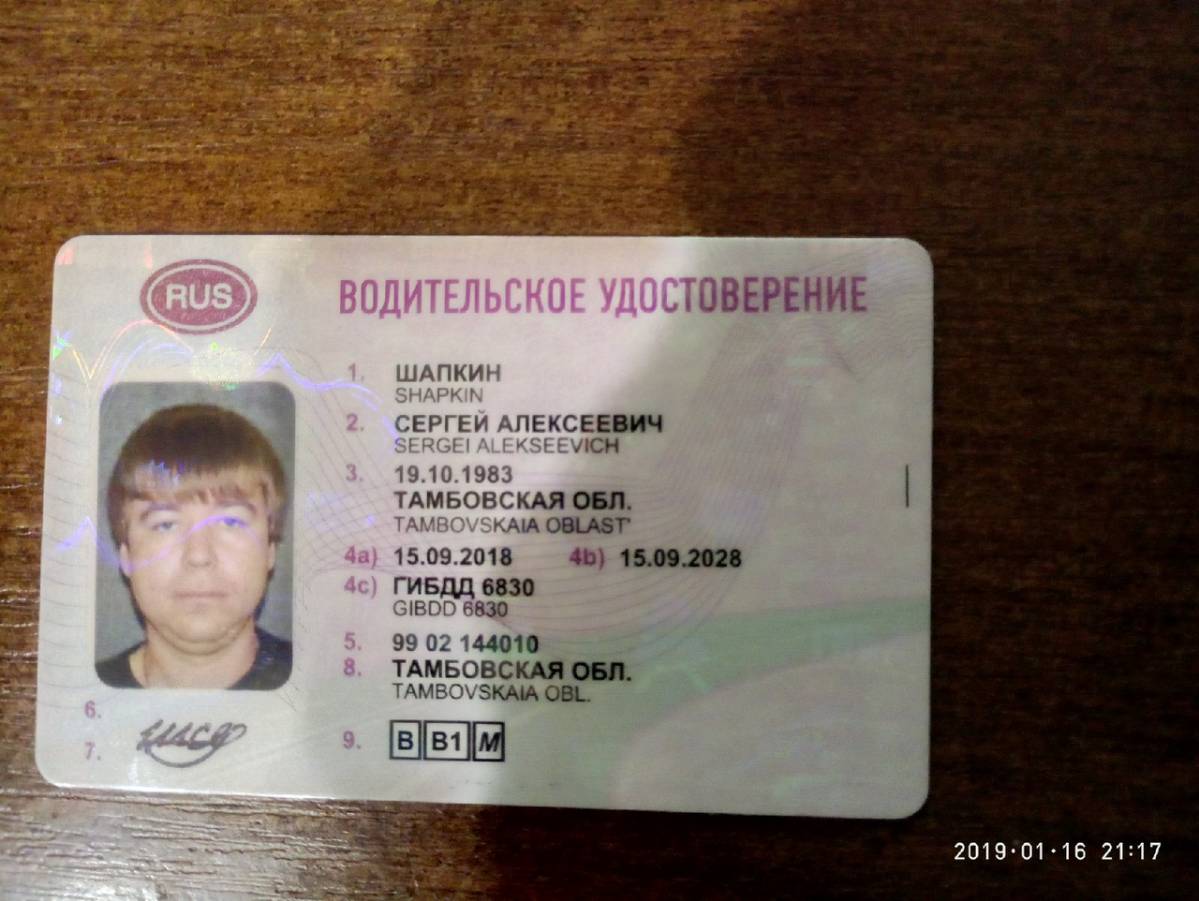 Сергей Шапкин