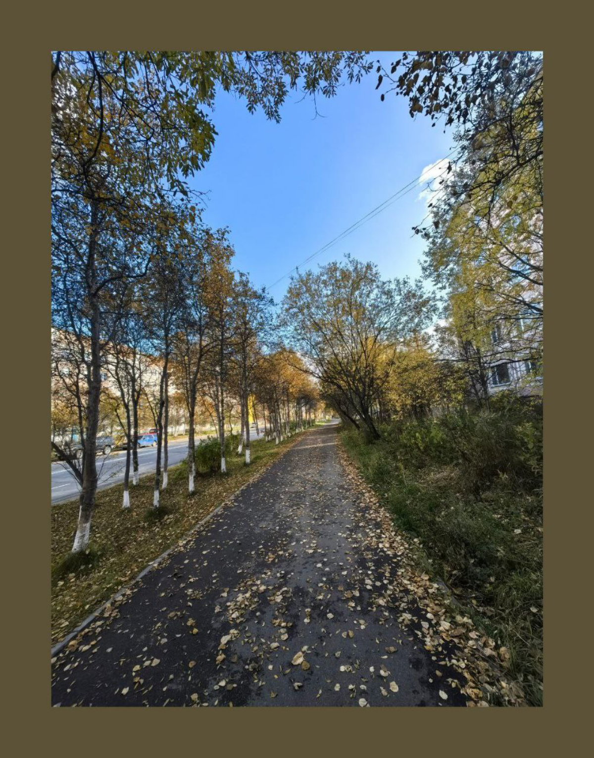 Вчера. Осенняя тема. / Yesterday. Fall's Theme. | Сетка — социальная сеть от hh.ru