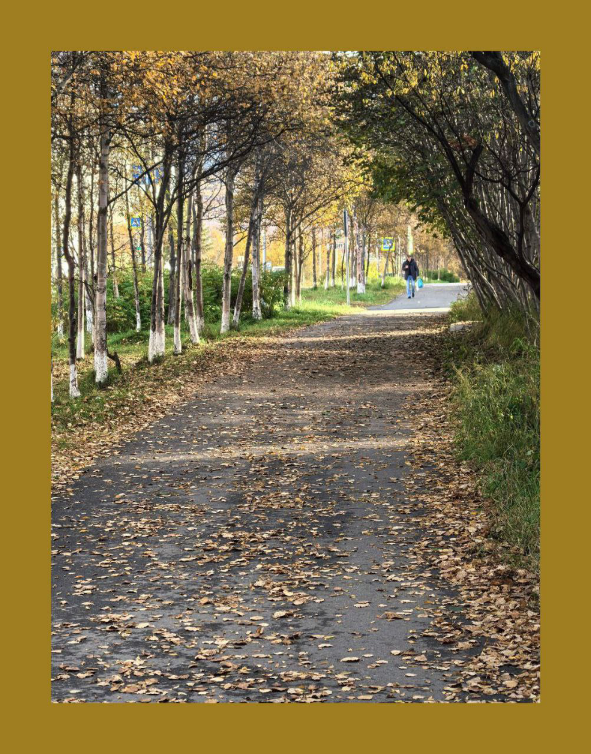Магадан. Осень. Время медитаций. / Magadan. Fall. Meditations time. | Сетка — социальная сеть от hh.ru