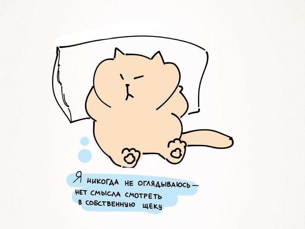 Идеальный лозунг 😂😂😂
#Юмор@poldner #Коты@poldner | Сетка — социальная сеть от hh.ru