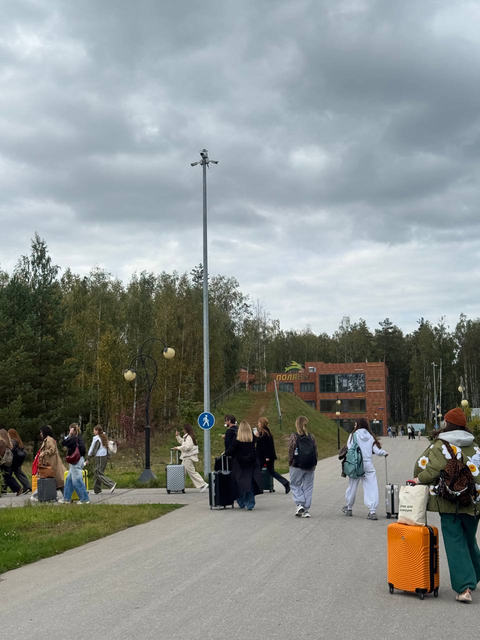 🌳 Апдейт: как я оказалась на посадке леса в Рязанской области
Я здесь в роли волонтёра вместе с компанией Сохрани лес - невероятно крутые ребята, которые за 3 года высадили уже больше 500 000 деревьев... | Сетка — социальная сеть от hh.ru
