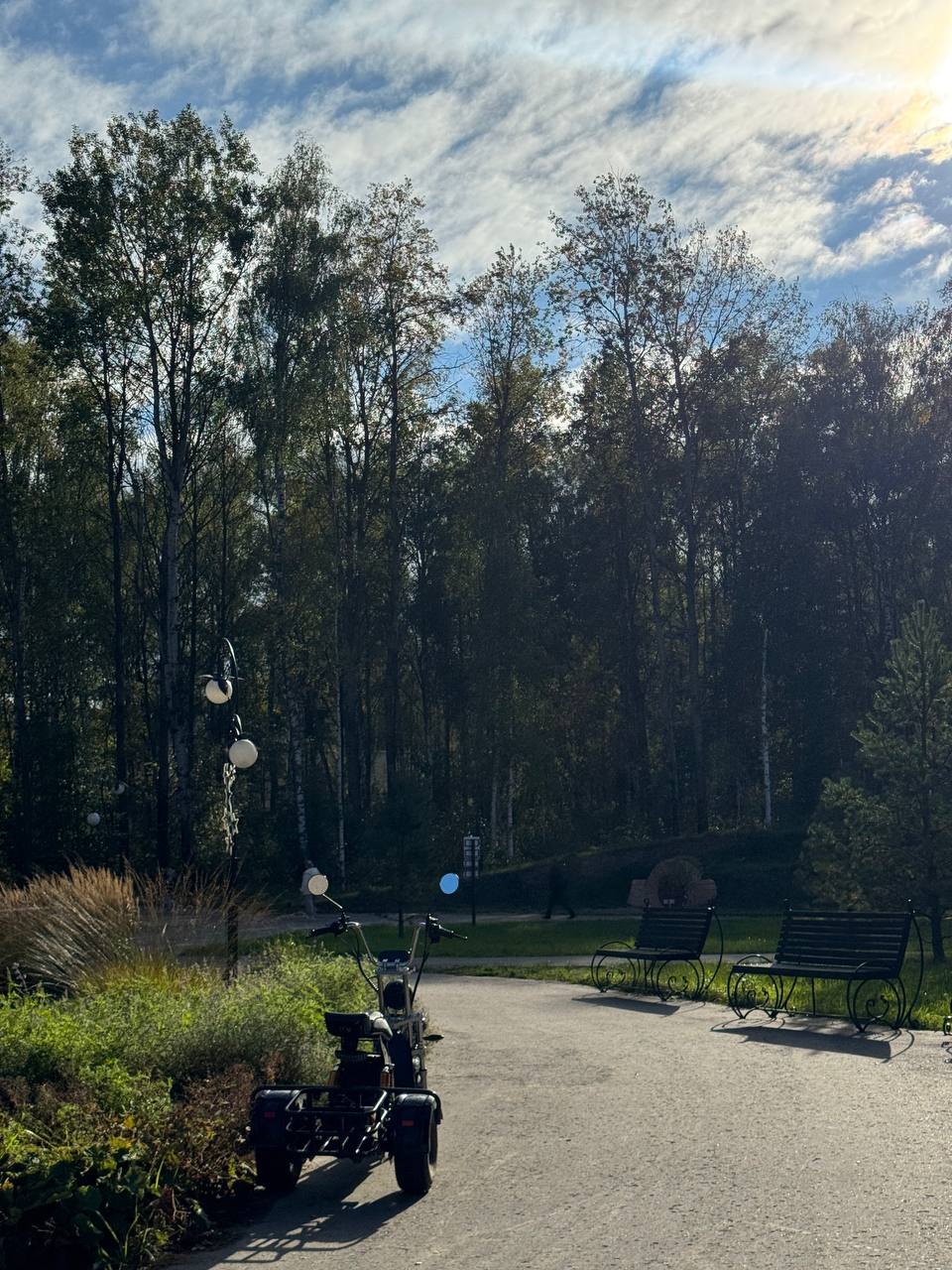 🌳 Апдейт: как я оказалась на посадке леса в Рязанской области
Я здесь в роли волонтёра вместе с компанией Сохрани лес - невероятно крутые ребята, которые за 3 года высадили уже больше 500 000 деревьев... | Сетка — социальная сеть от hh.ru