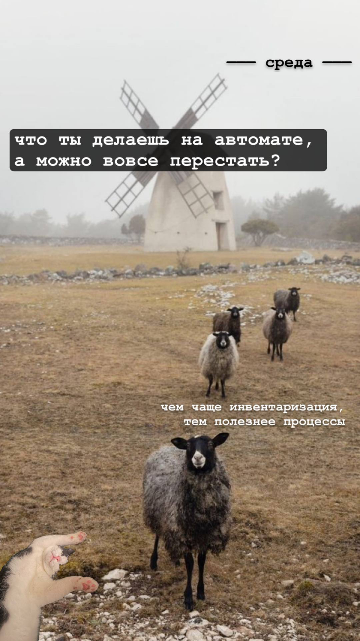 МЫСЛИ НЕДЕЛИ | Сетка — социальная сеть от hh.ru