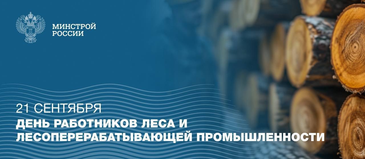 ▶️ Россия является одним из лидеров по запасам лесных ресурсов и обладает богатым опытом в области лесозаготовки и деревообработки | Сетка — социальная сеть от hh.ru