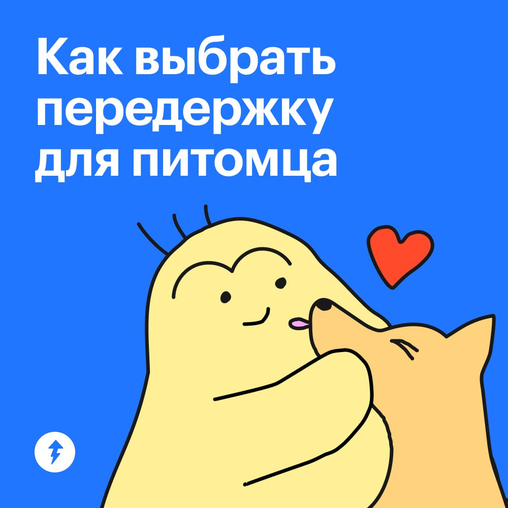 Если рядом нет друзей и родственников, готовых присмотреть за питомцем, поездка в отпуск может стать настоящим квестом | Сетка — социальная сеть от hh.ru