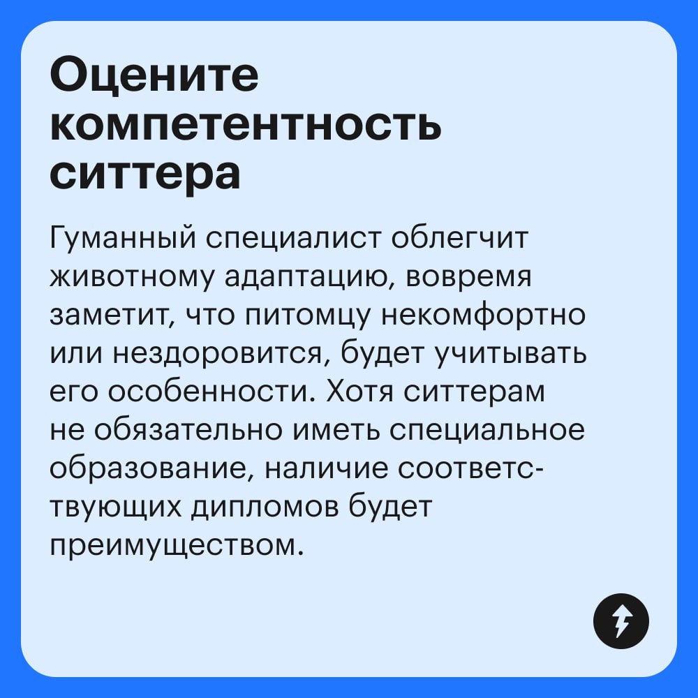 Если рядом нет друзей и родственников, готовых присмотреть за питомцем, поездка в отпуск может стать настоящим квестом | Сетка — социальная сеть от hh.ru