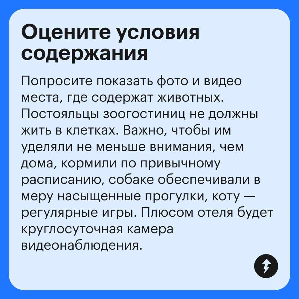 Если рядом нет друзей и родственников, готовых присмотреть за питомцем, поездка в отпуск может стать настоящим квестом | Сетка — социальная сеть от hh.ru