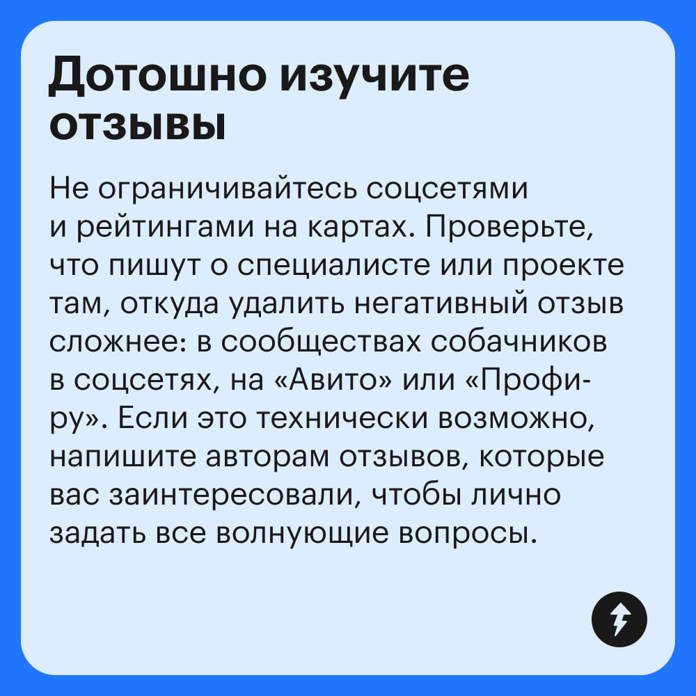 Если рядом нет друзей и родственников, готовых присмотреть за питомцем, поездка в отпуск может стать настоящим квестом | Сетка — социальная сеть от hh.ru