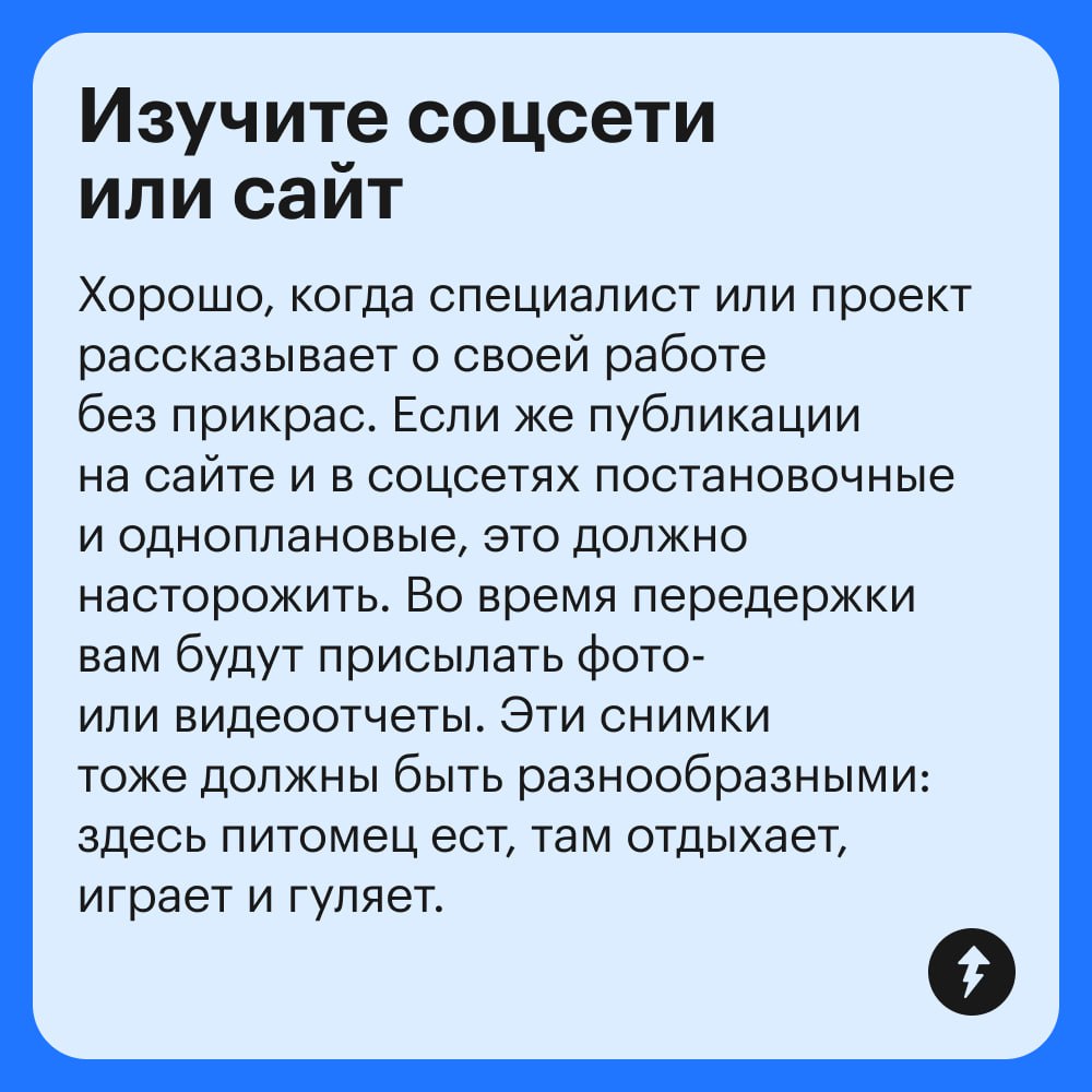 Если рядом нет друзей и родственников, готовых присмотреть за питомцем, поездка в отпуск может стать настоящим квестом | Сетка — социальная сеть от hh.ru