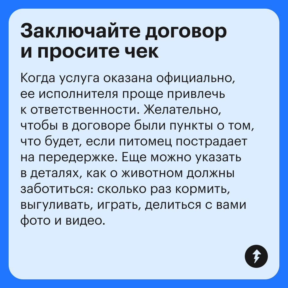 Если рядом нет друзей и родственников, готовых присмотреть за питомцем, поездка в отпуск может стать настоящим квестом | Сетка — социальная сеть от hh.ru