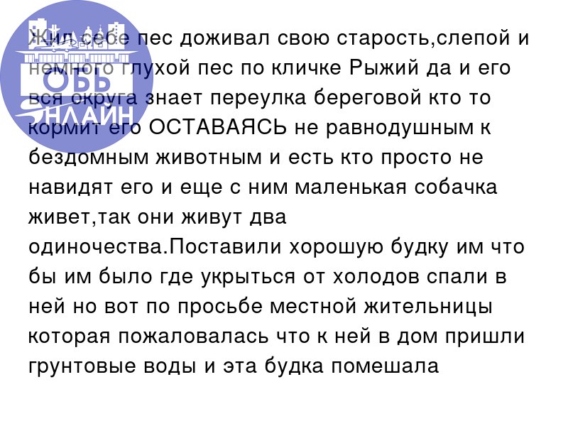 ↗ Жил себе пес доживал свою старость,слепой и немного глухой пес по кличке Рыжий да и его вся округа знает переулка береговой кто то кормит его ОСТАВАЯСЬ не равнодушным к бездомным животным и есть кто... | Сетка — социальная сеть от hh.ru