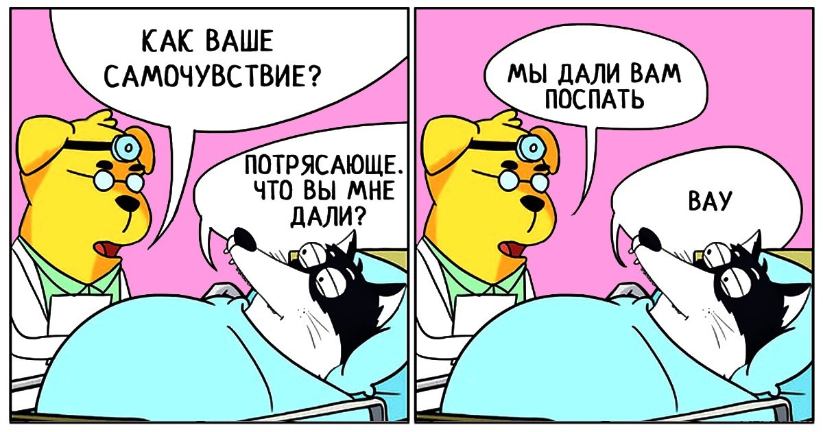Всем хорошего воскресенья! | Сетка — социальная сеть от hh.ru