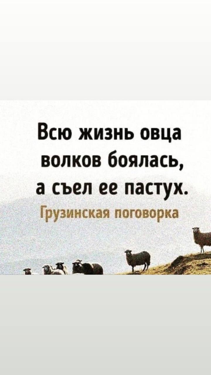 #инсайтынедели
Поделитесь, что откликнулось?🤗
🔥 Вас выбрали. Не другие, вы сами.
🔥 "Воодушевляться» – это ваша работа.
🔥 В Победе нет ничего нормального. Победа - это ненормальность | Сетка — социальная сеть от hh.ru