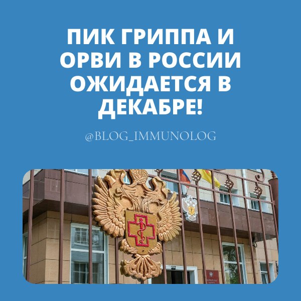 🚨 Внимание! Пик гриппа и ОРВИ в России ожидается в декабре! ❄️🤒
Друзья, получили важную информацию от академика РАН Геннадия Онищенко! Он прогнозирует, что настоящий подъем заболеваемости гриппом и ОР... | Сетка — социальная сеть от hh.ru