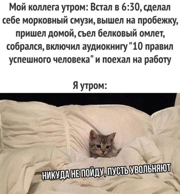Кто они - все эти коллеги? 😂😂😂
#Юмор@poldner #Коты@poldner | Сетка — социальная сеть от hh.ru