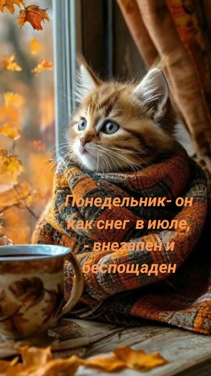 Доброе понедельничное ❤️
Легкой недели ☀️ | Сетка — социальная сеть от hh.ru