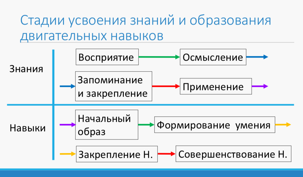 Стадии освоения знаний и навыков | Сетка — социальная сеть от hh.ru